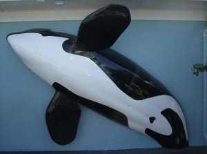 orcas orca killerwhale killerwhales frozen planet teamwork