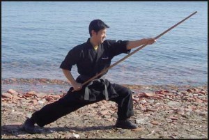 martial arts weapons bo staff private lessons training toronto mississauga