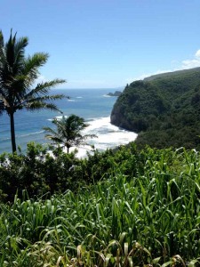 kona big island hawaii travel tourism coast