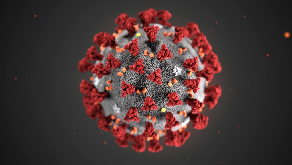 covid-19, covid-19 pandemic, corona virus, self isolation, social distancing