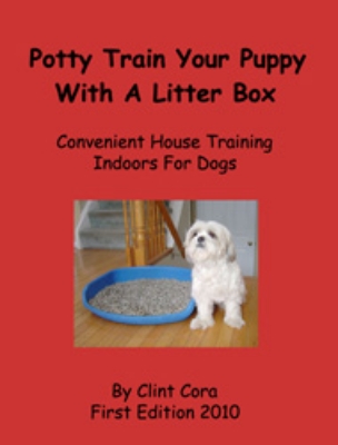 potty train puppy dog clint cora