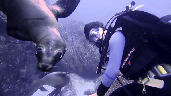 clint cora scuba diving